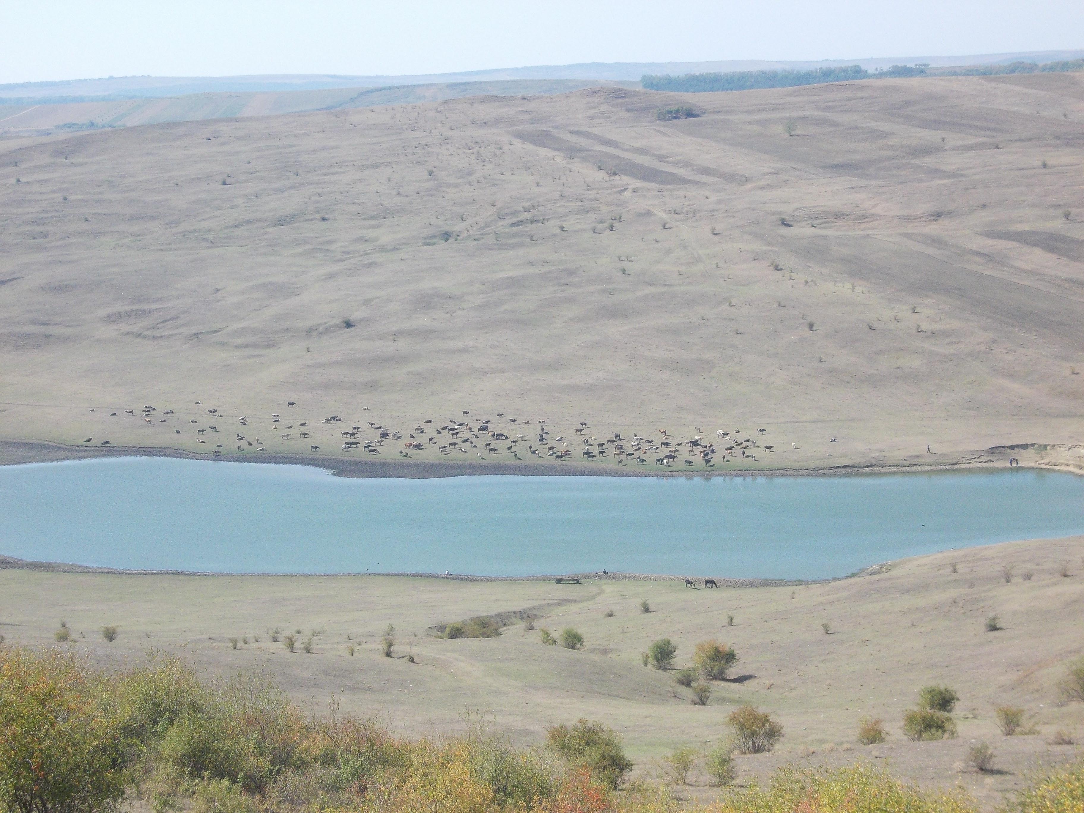 Pensiunea Victoria